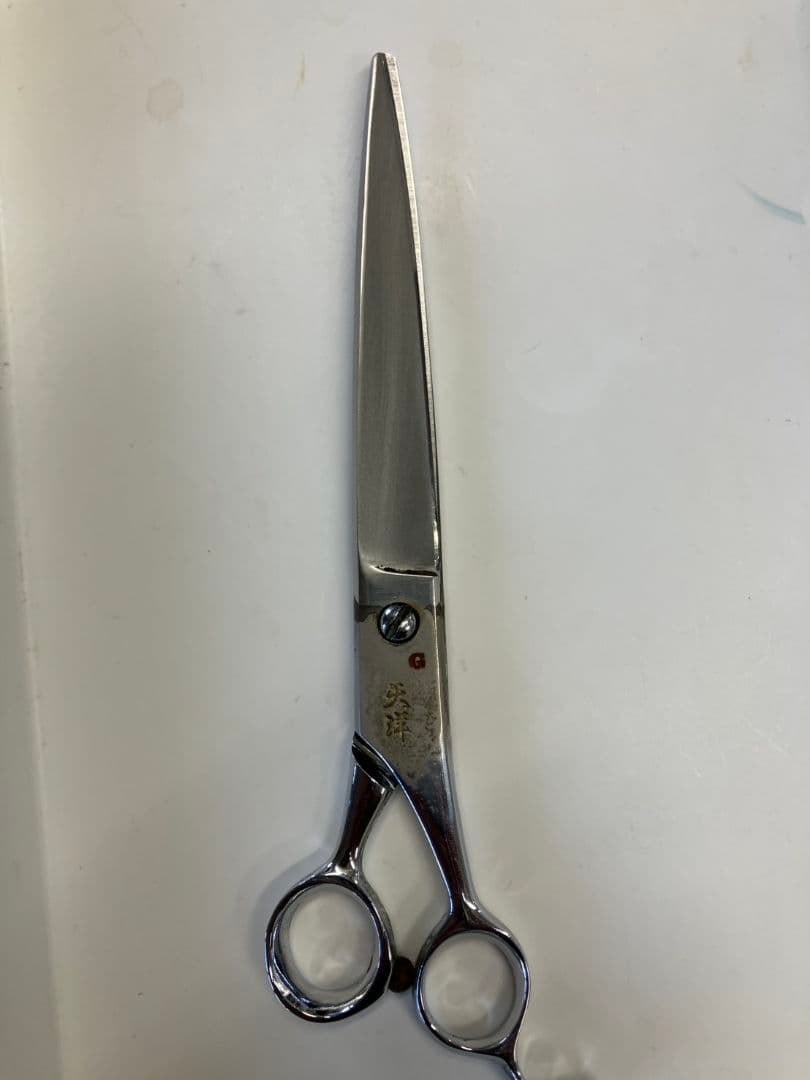 天洋Gにちょうがけ