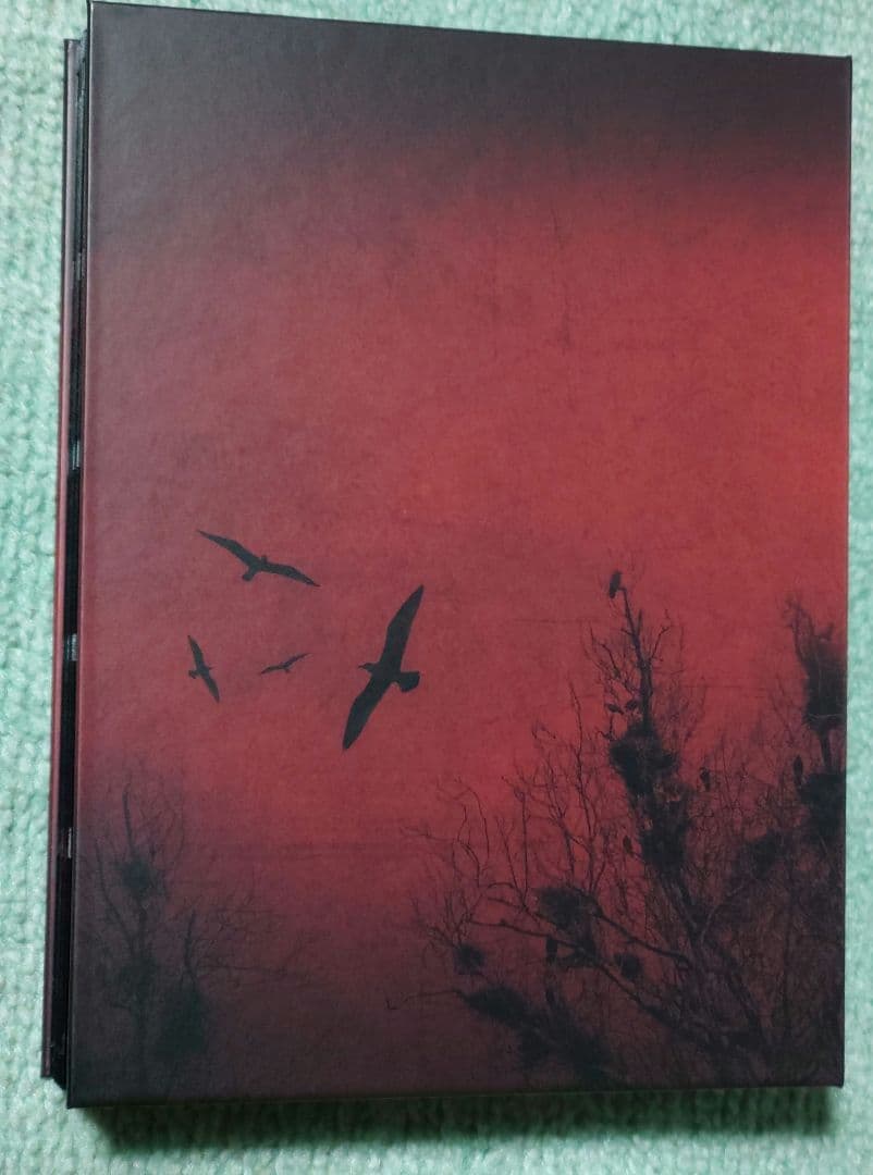 松下洸平 「カラマーゾフの兄弟」 DVD　BOX