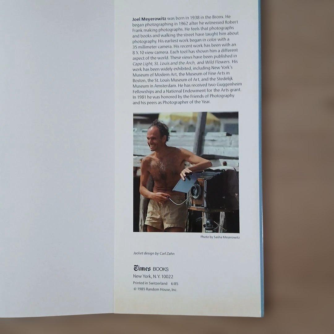 写真家ジョエル・マイヤーウィッツの作品集『A Summer's Day』(洋書)