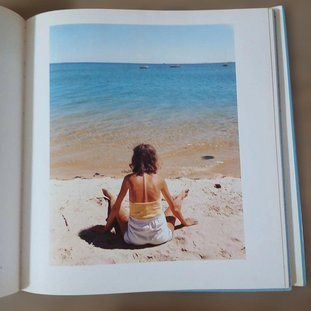 写真家ジョエル・マイヤーウィッツの作品集『A Summer's Day』(洋書)