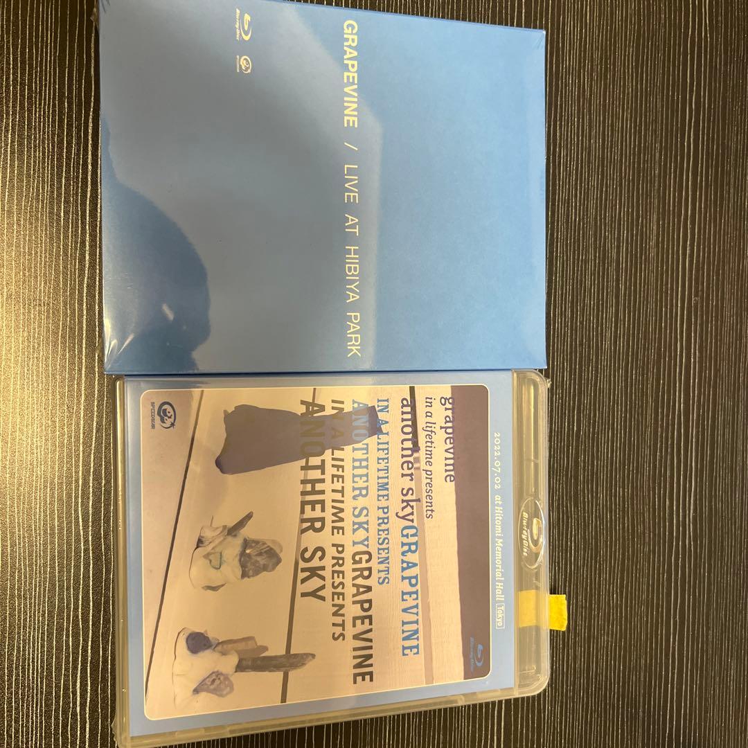 ミュージック GRAPEVINE/LIVE ATHIBIYA PARK another sky