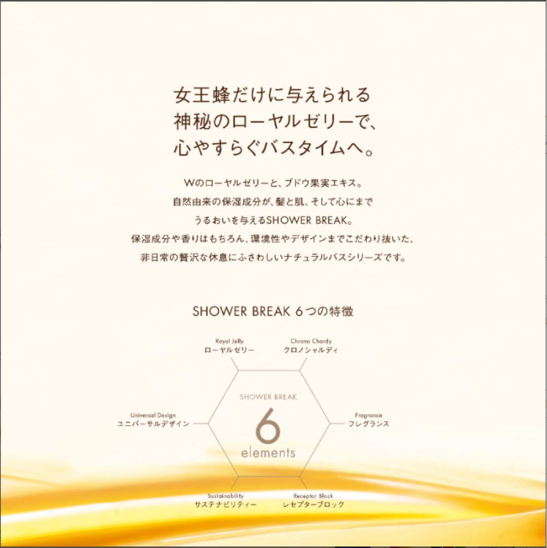 新品 POLAポーラシャワーブレイクシャンプー&コンディショナーセット各10L