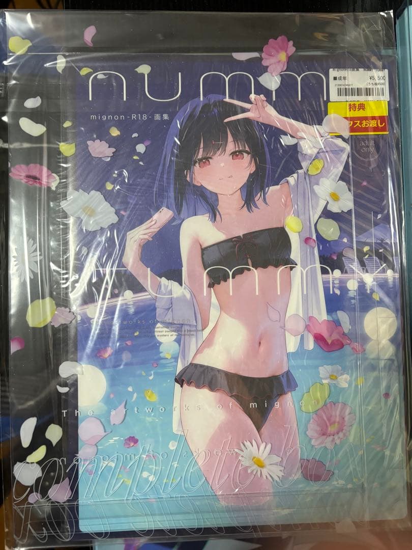 mignon画集　NUMMYTUMMY