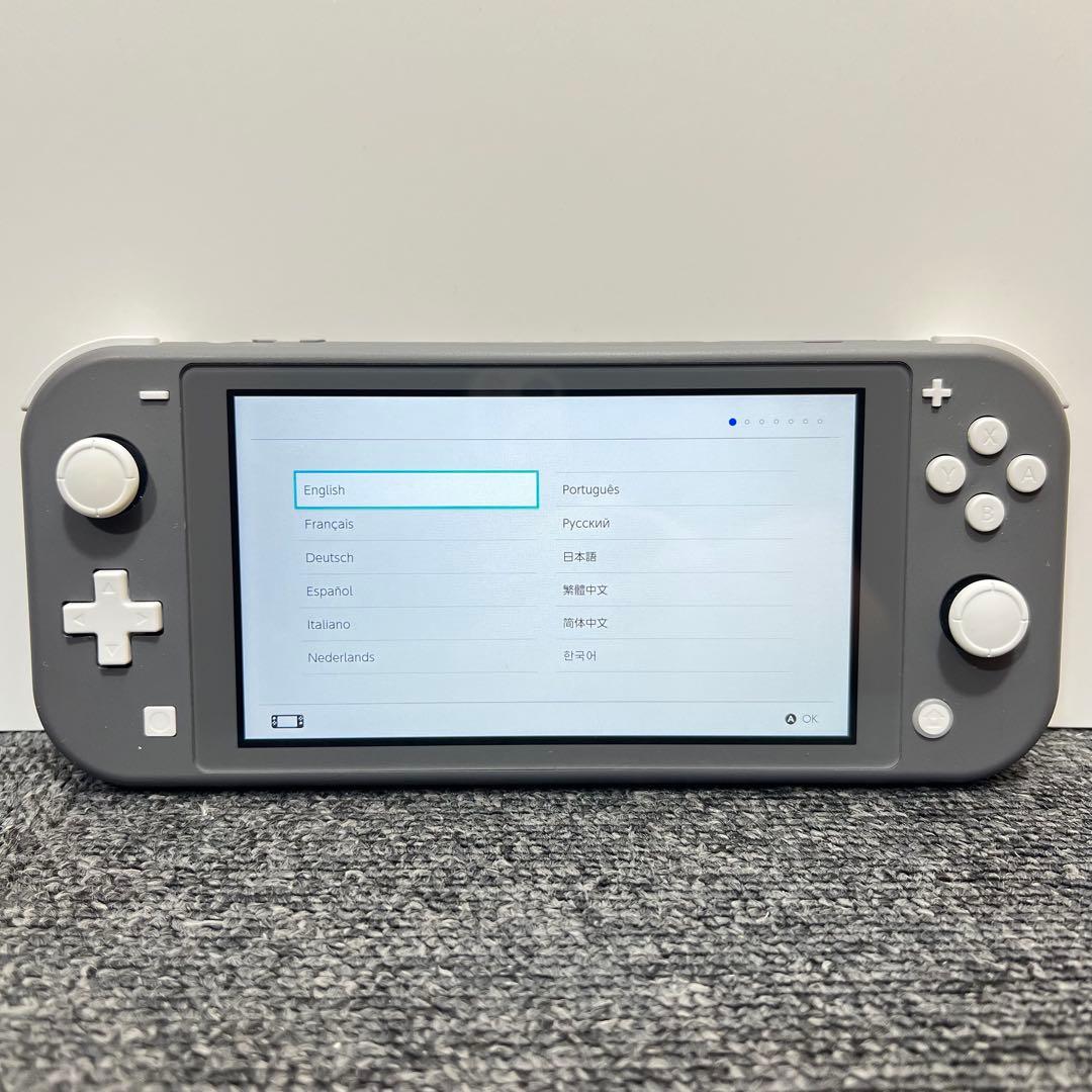 ひ*ん様 スイッチライト SwitchLite グレー 本体 2024年製 完品