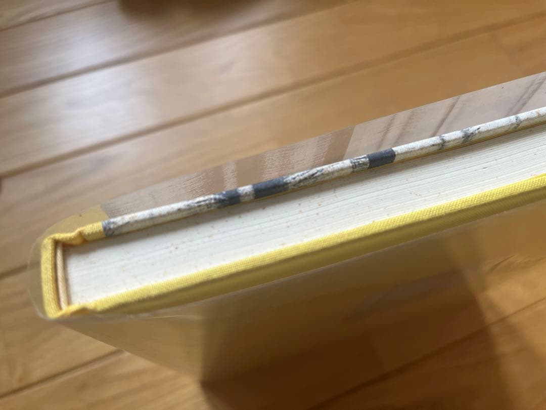 hysteric sixteen 植田正治「小さい伝記」　写真集