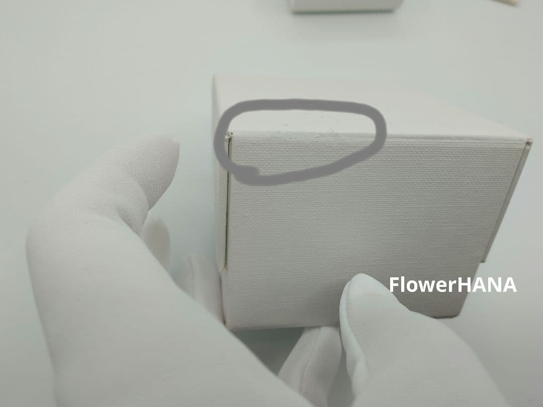 【美品】プチバランス クラス ネックレス　ホワイトゴールド