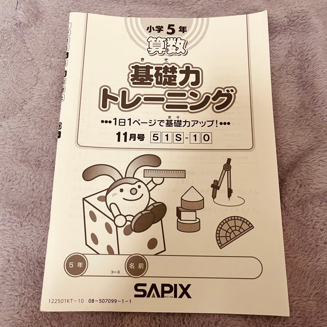 SAPIX 算数 基礎力トレーニング 小5 全12ヶ月セット