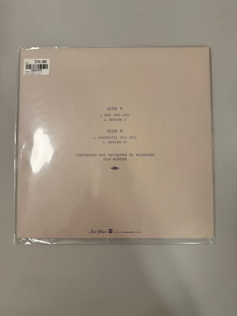 25,000 kittens 10インチ アナログ レコード sad disco