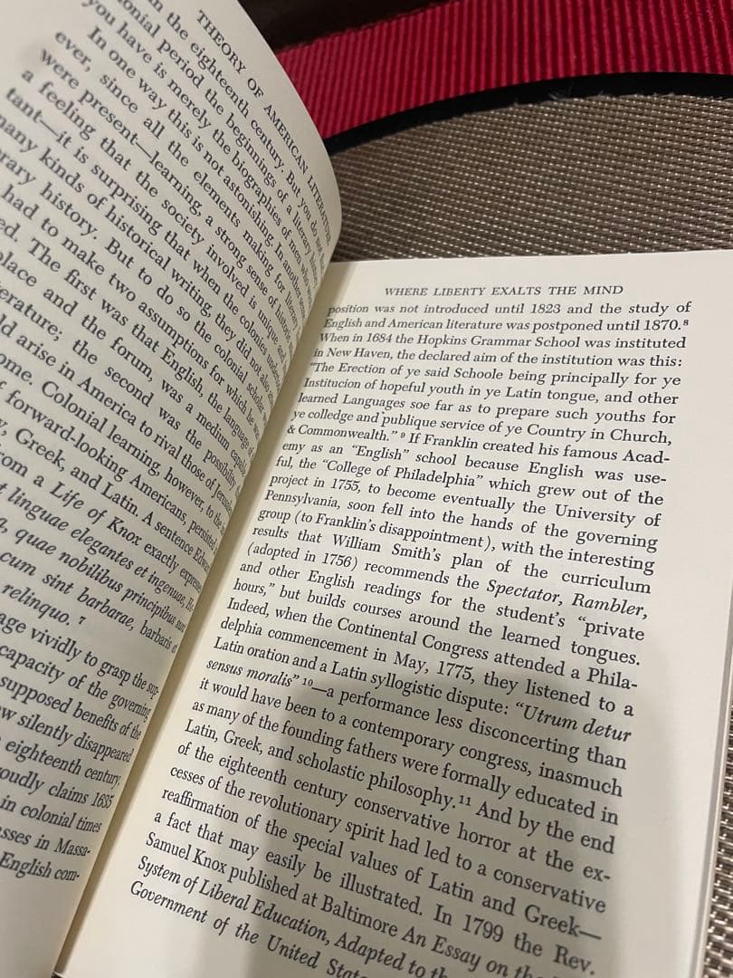 希少　The Theory of American Literature