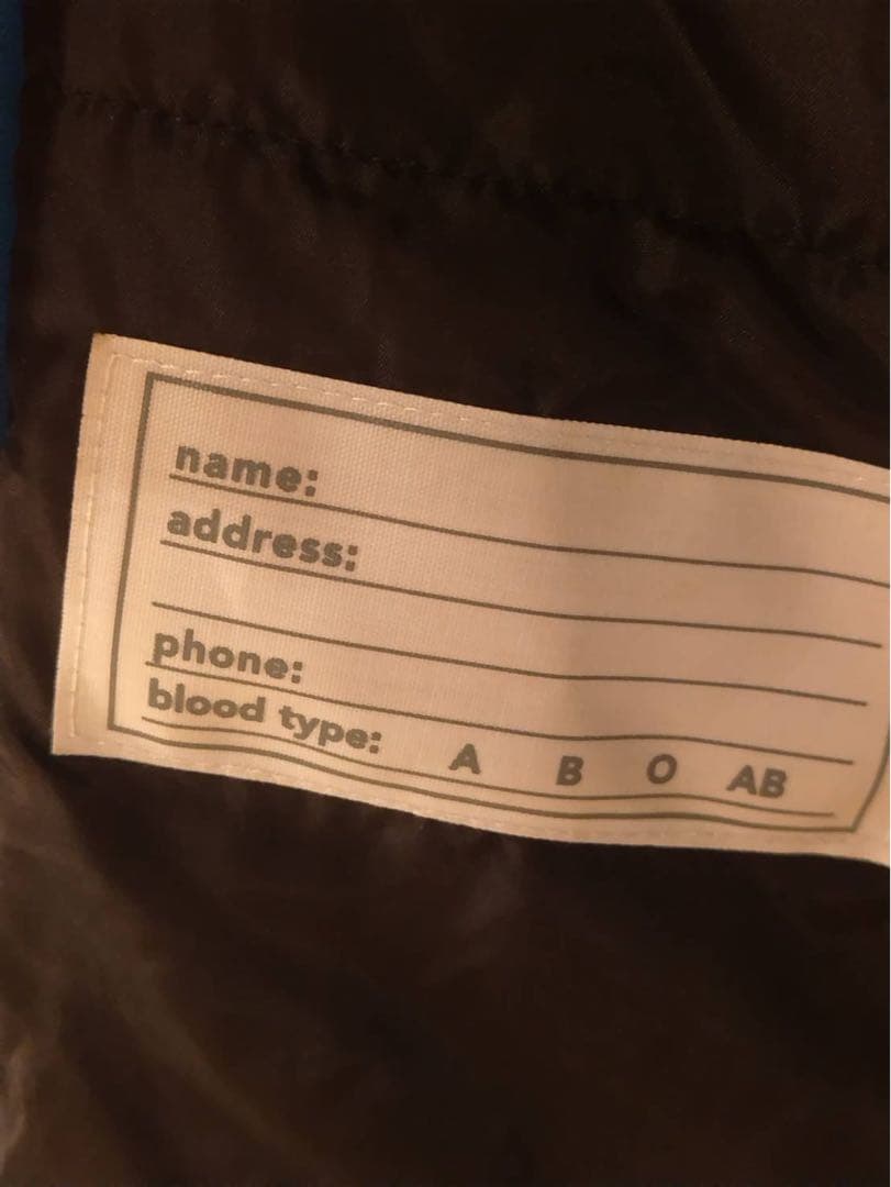 フェニックス　phenix スキーウェア 上下セット 160