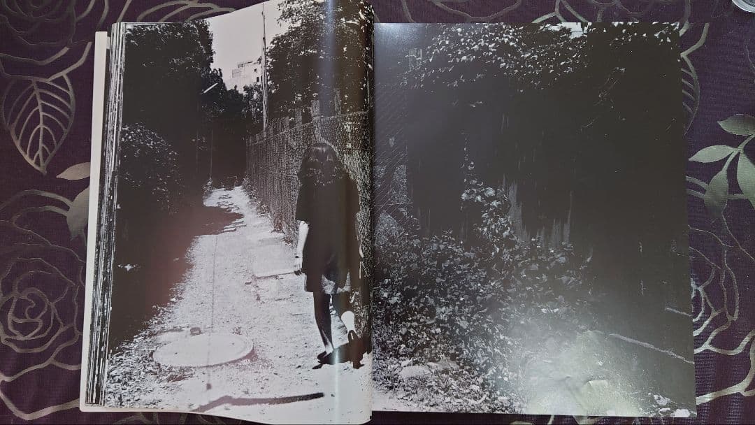 Daido hysteric no.6 1994 / 森山大道 写真集 初版