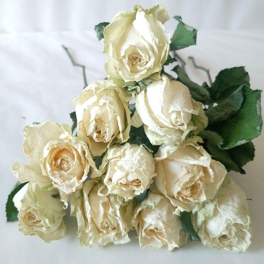 ドライフラワー様