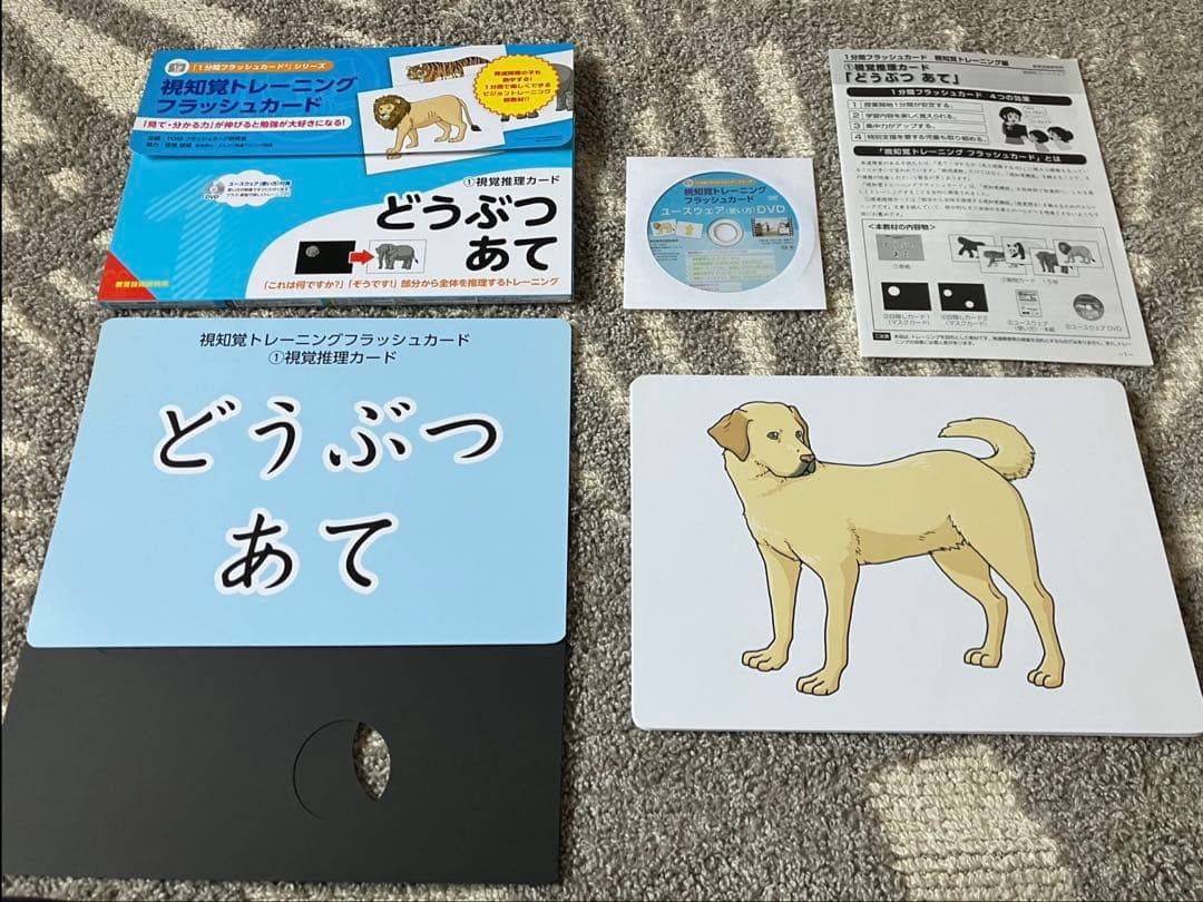 発達促進ドリル全10巻　視知覚トレーニングカード全5巻　書籍他