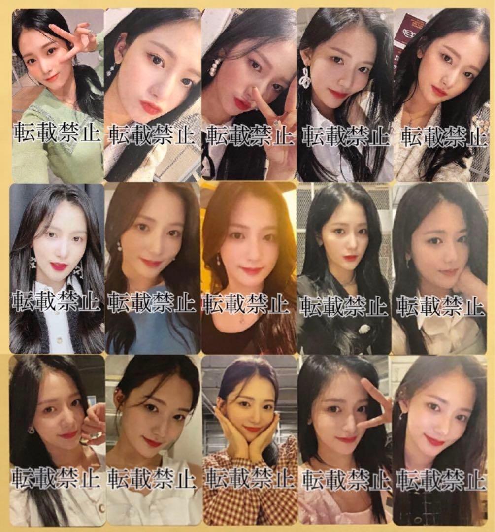 NATURE チェビン CHAEBIN ペンミ 国別 15ヵ国 セット トレカ