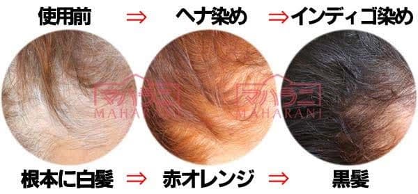 ２０２４年秋収穫、石臼挽きヘナ５００g　２個トリートメント効果おまけ８点