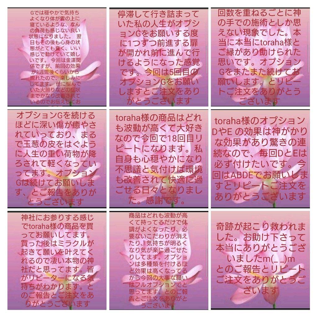 【新作】縁起物！白蛇タイガーアイのペンダント（金運・弁財天・知恵・富・繁栄