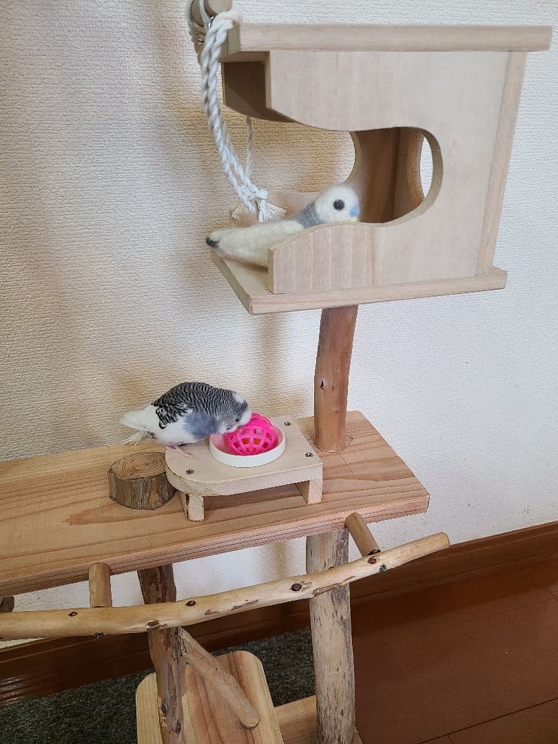 ⑦イボンヌ　オーダーバードアスレチック　流木　ハンドメイド