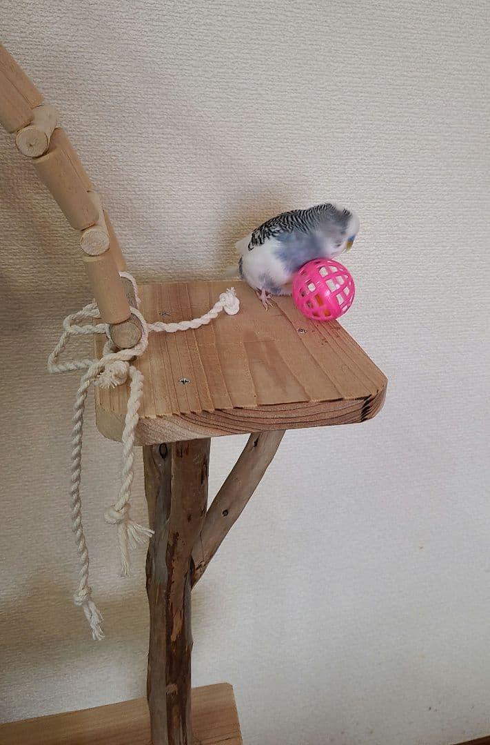 ⑦イボンヌ　オーダーバードアスレチック　流木　ハンドメイド