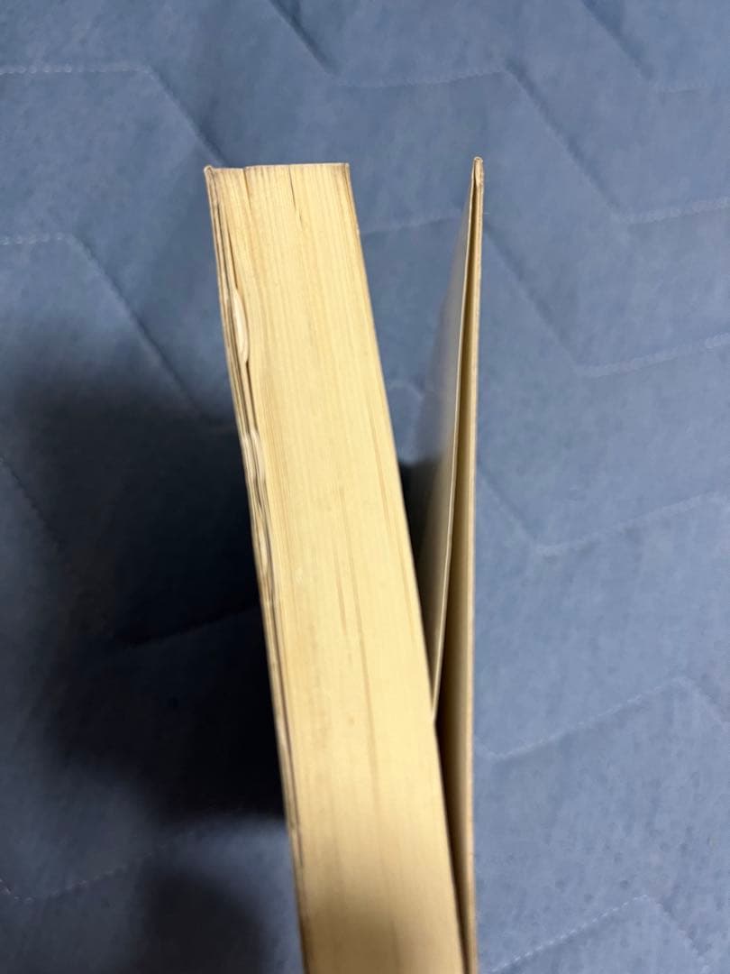 はじめての不動産鑑定理論 : 重点ポイントと平易な言葉での解説