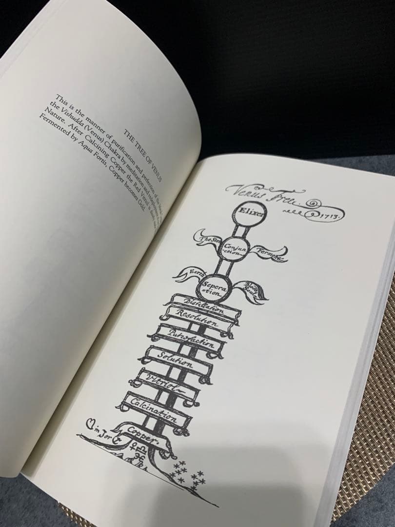 洋書 The Secrets of John Dee by Gordon James