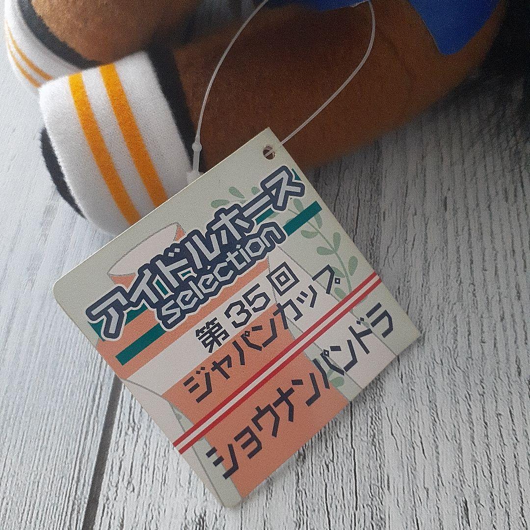 アイドルホース　ショウナンパンドラ