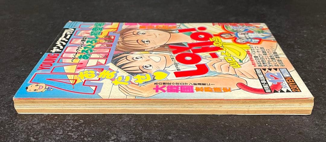 ●ヤングアニマル 1993年 No.12 ●ベルセルク 第16話 三浦建太郎