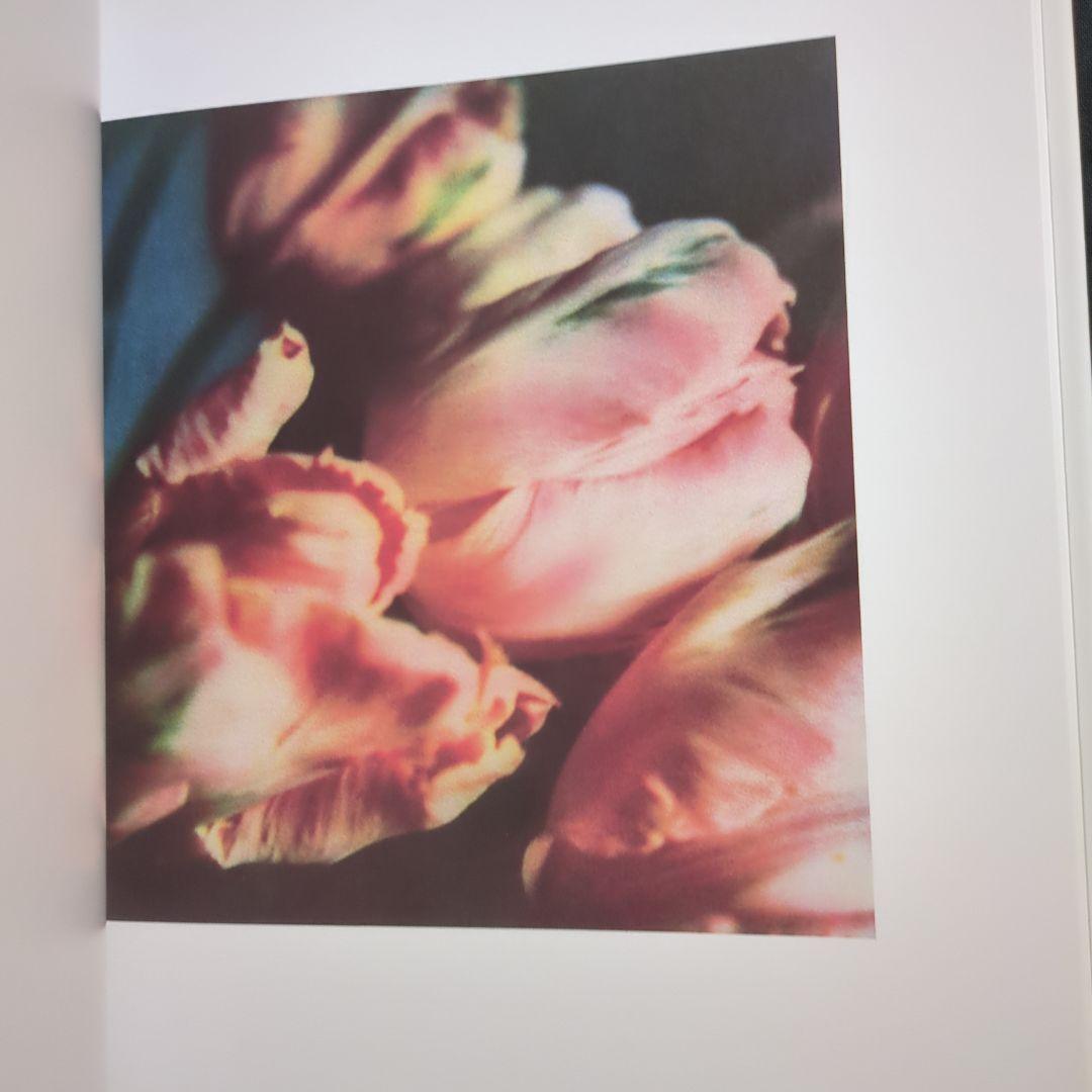 Cy Twombly サイ・トゥオンブリー Photographs 洋書 写真集