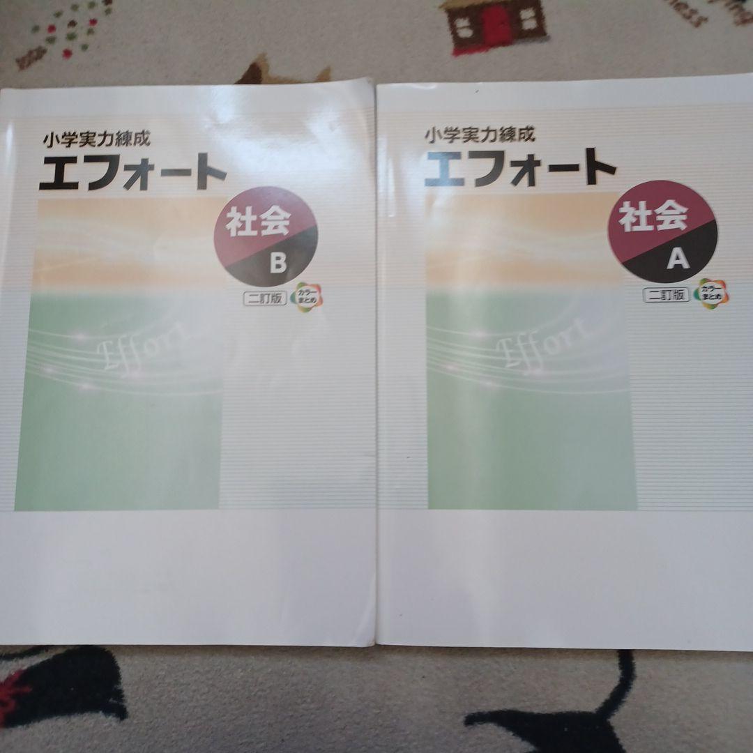 名進研　完全制覇シリーズ　受験社会*算数*国語*理科　6年生　教材17冊セット