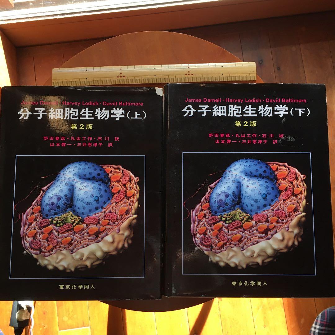 分子細胞生物学 上　下