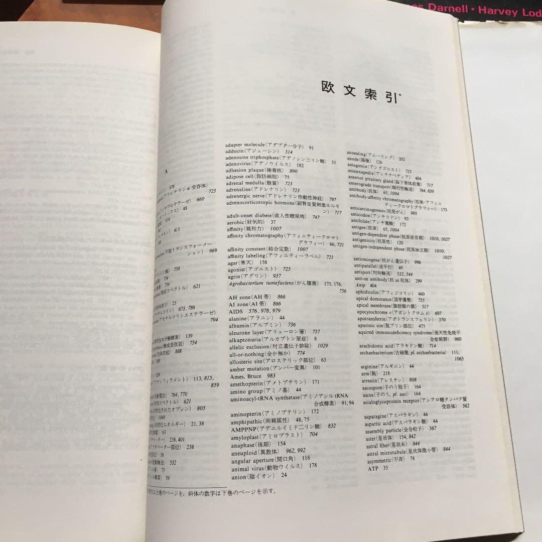 分子細胞生物学 上　下