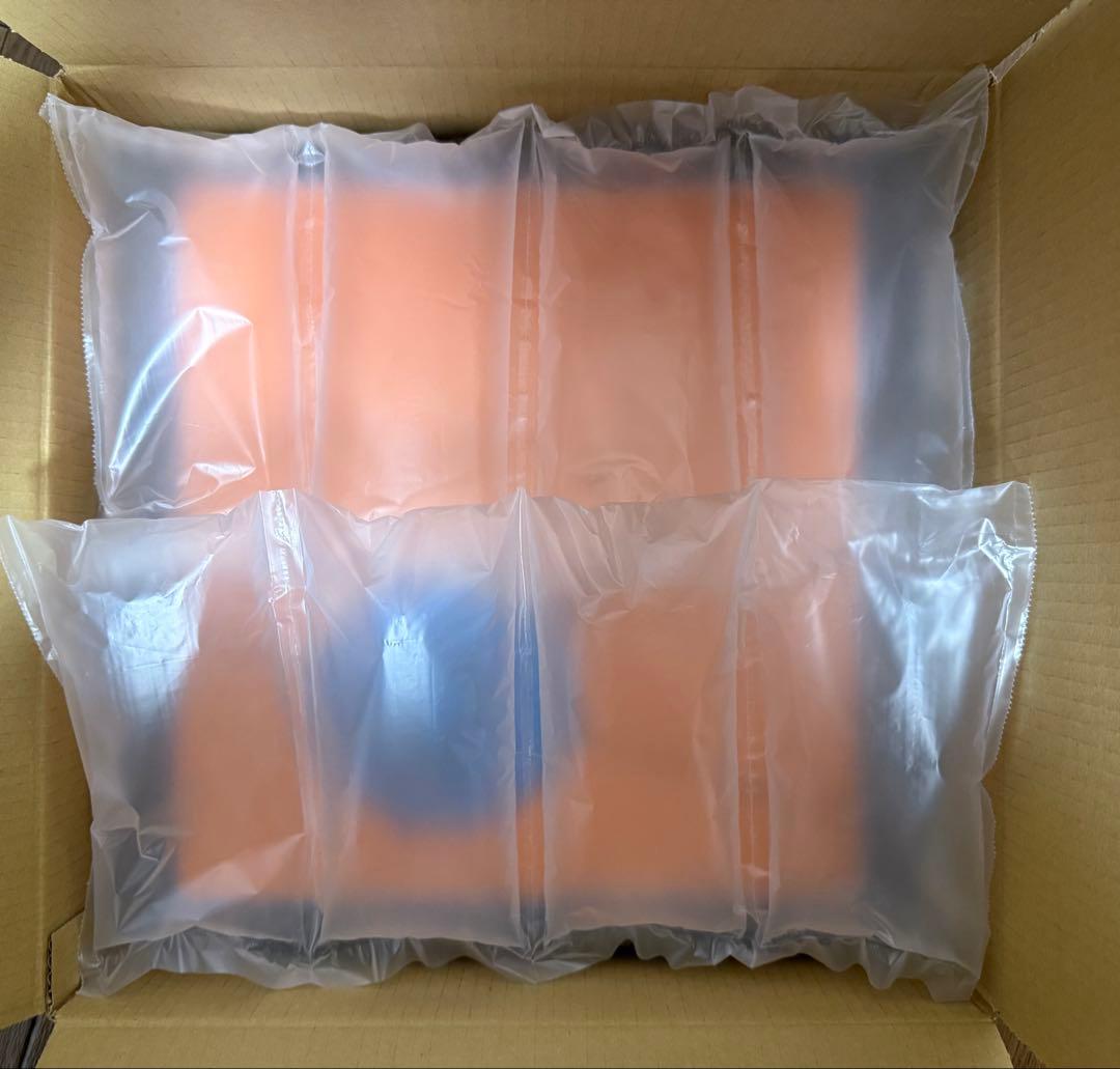 【新品未開封】BUMP OF CHICKEN TOUR ホームシック衛星2024