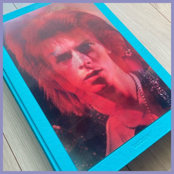 希少❗️ The Rise of David Bowie, 1972-1973