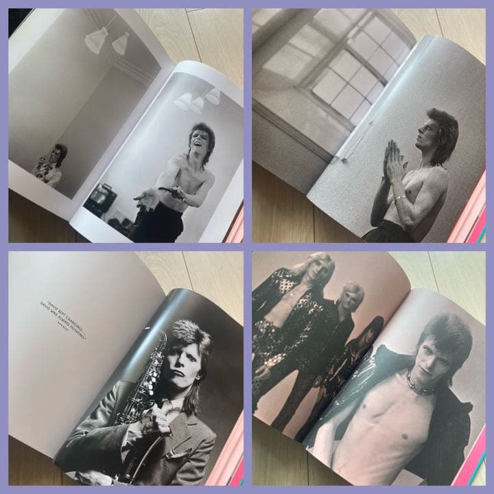 希少❗️ The Rise of David Bowie, 1972-1973