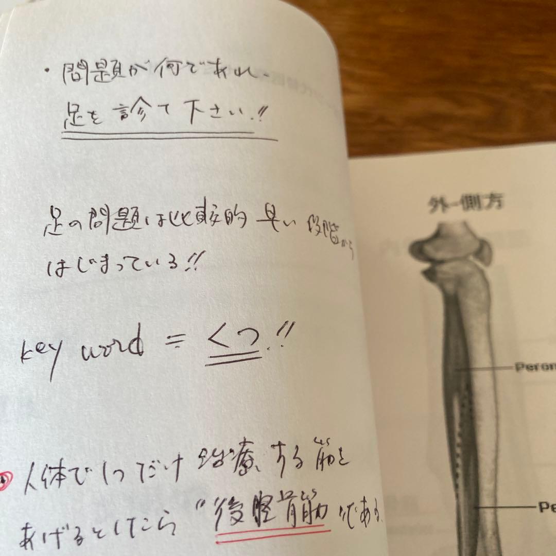 スポーツ代替医療 Dr. Philip マフェトンセミナーテキスト！貴重！カイロ