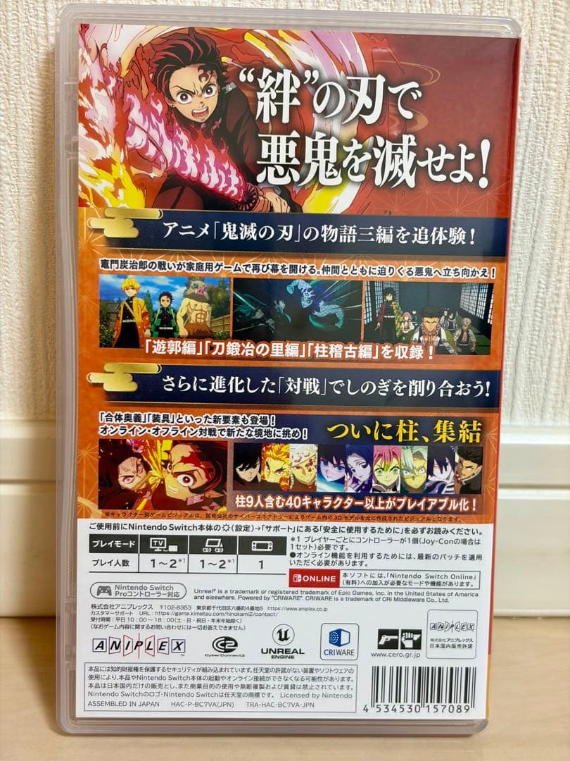 Switch 鬼滅の刃 ヒノカミ血風譚2 通常版