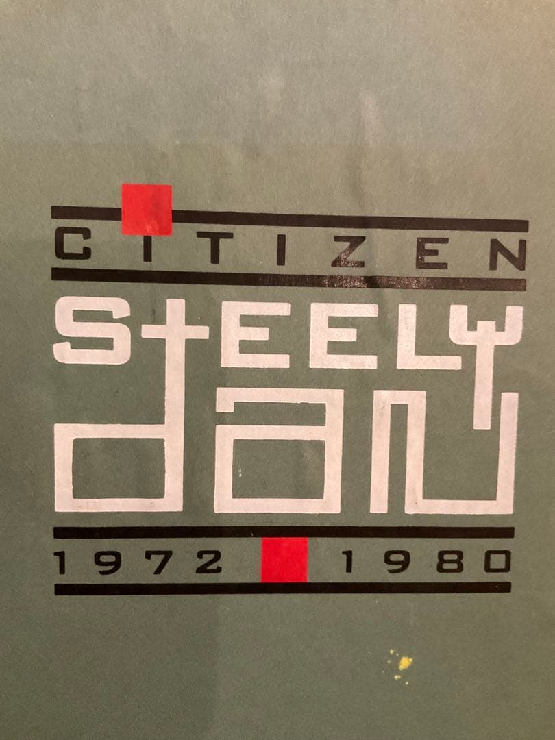 Steely Dan スティーリー・ダン　セット