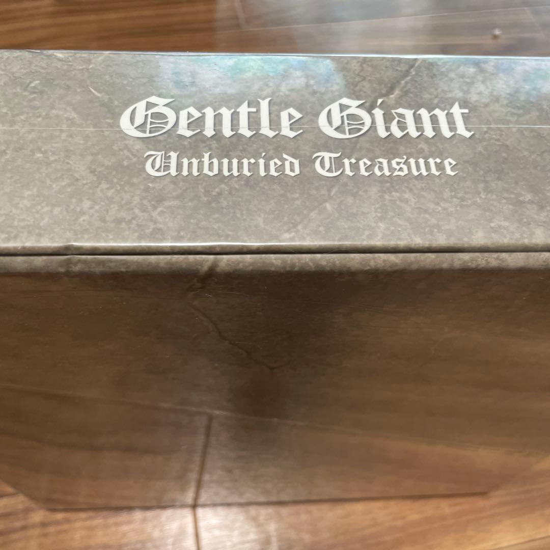 【フィクサー様】Gentle Giant Unburied Treasure