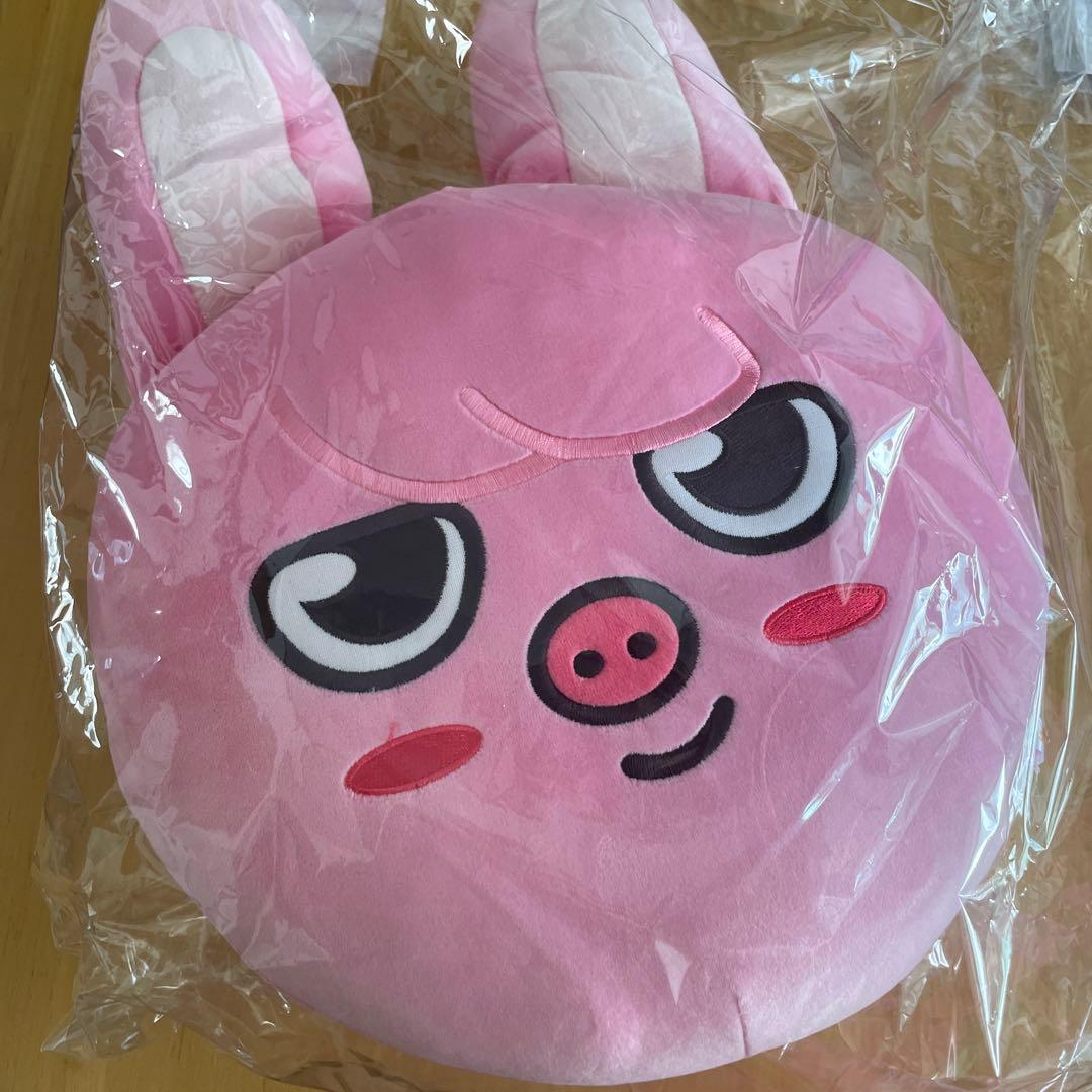 straykids StrayKids skzoo チャンビン ビニ クッション