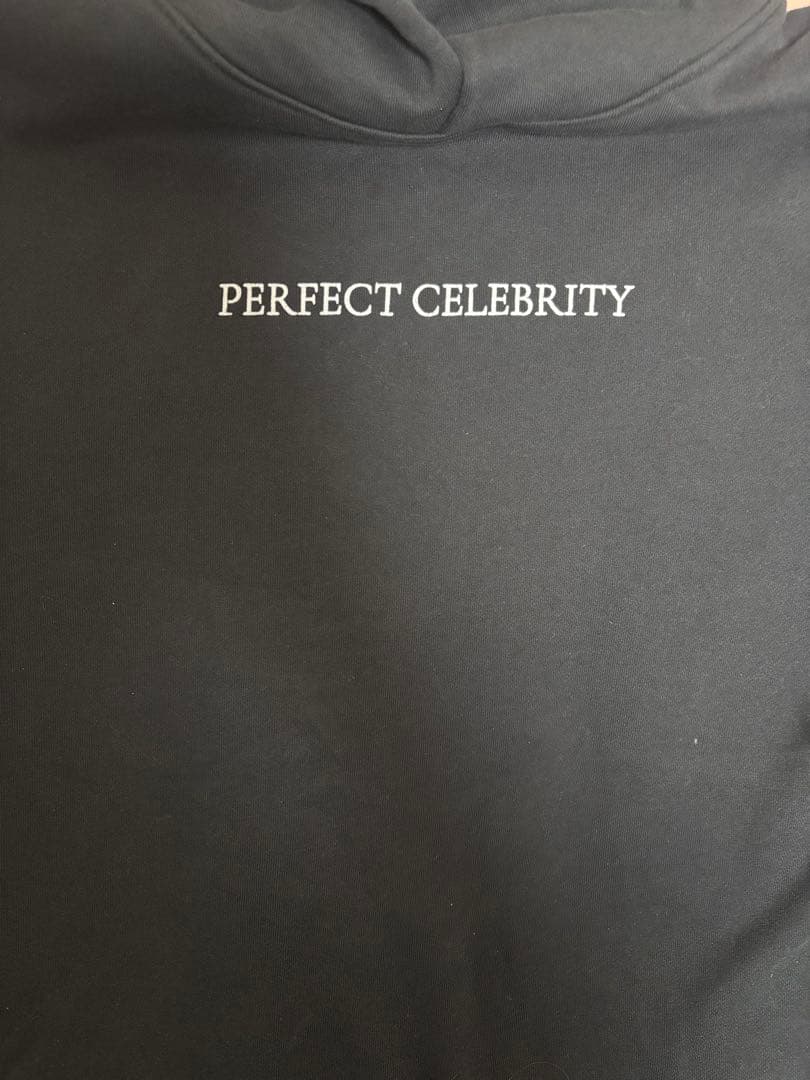 LADYGAGAパーカー　L