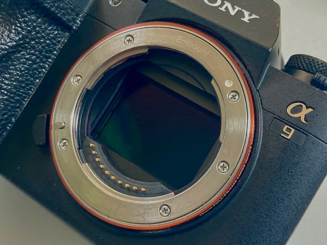 す*い様 SONY α9 ミラーレス一眼カメラ韓国版