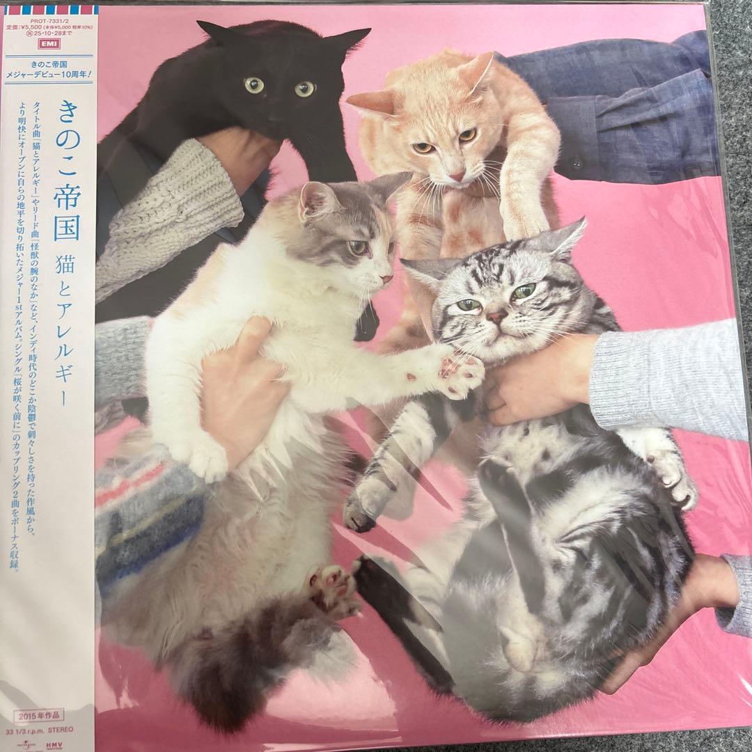 きのこ帝国 猫とアレルギー レコード