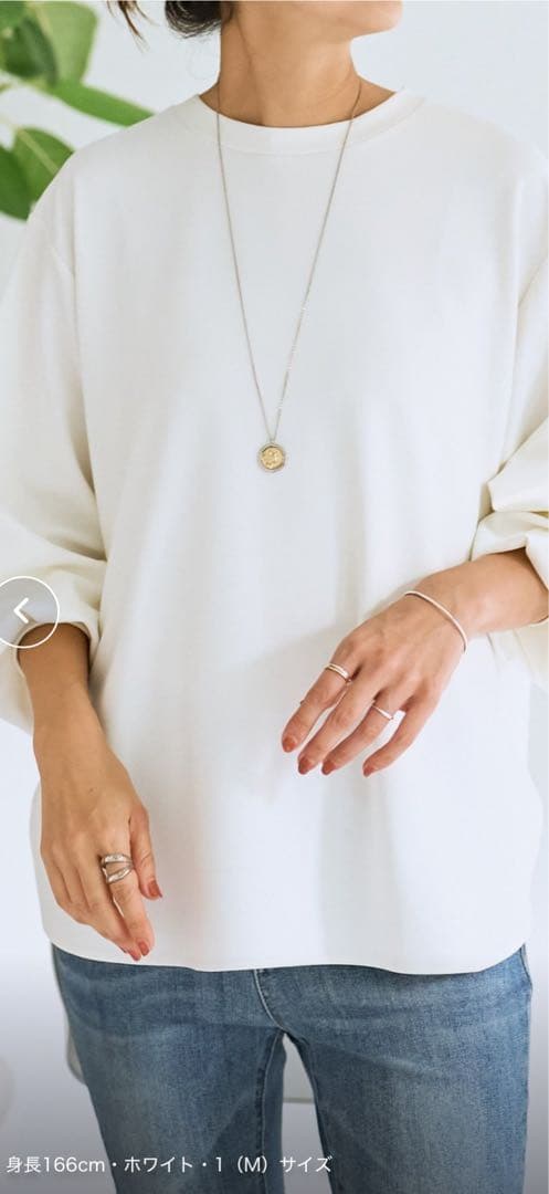 新品　BEARDSLEY Ｔブラウス