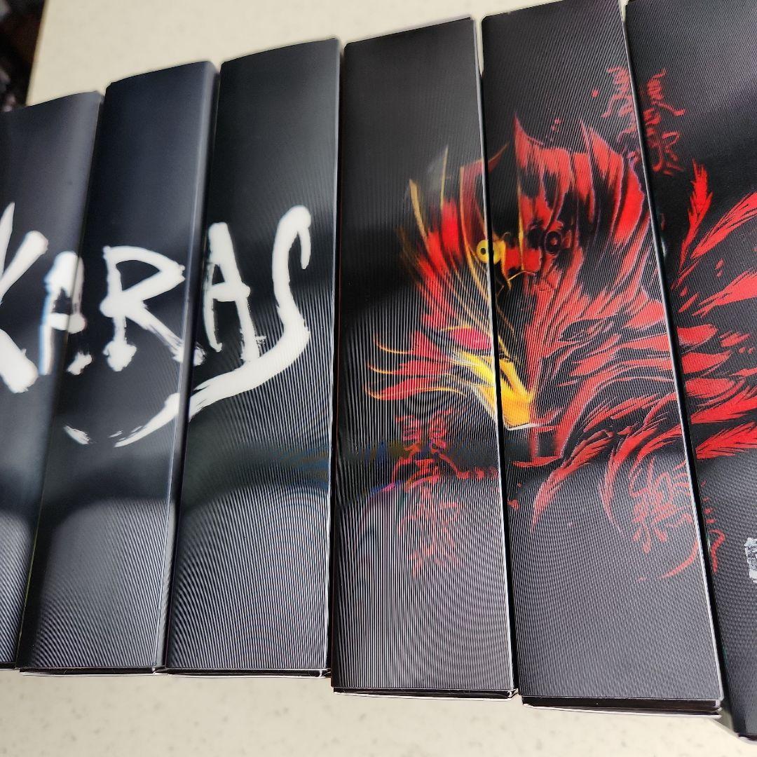 鴉-KARAS- コレクターズ・エディション　初回限定生産　DVD BOX