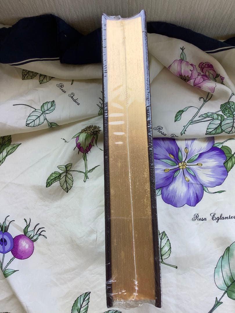 国家 プラトン THE REPUBLIC - PLATO