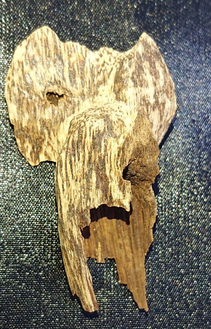 香木 沈香 伽羅 聞香◎ベトナム・フエ 特上