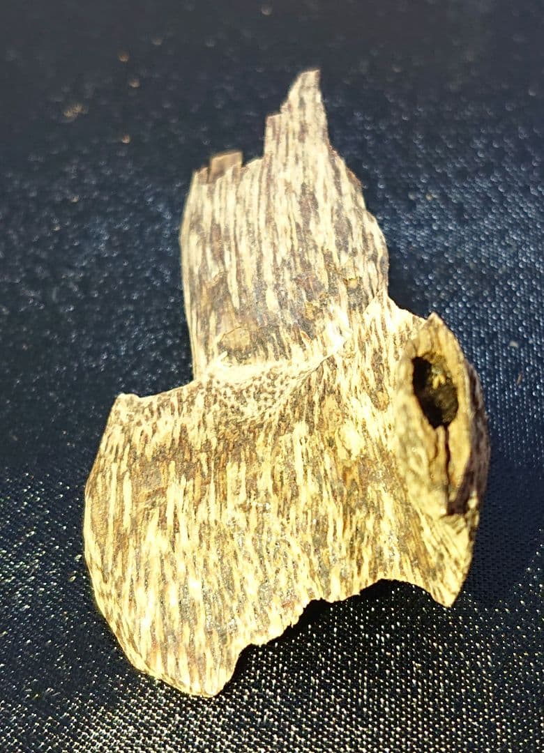 香木 沈香 伽羅 聞香◎ベトナム・フエ 特上