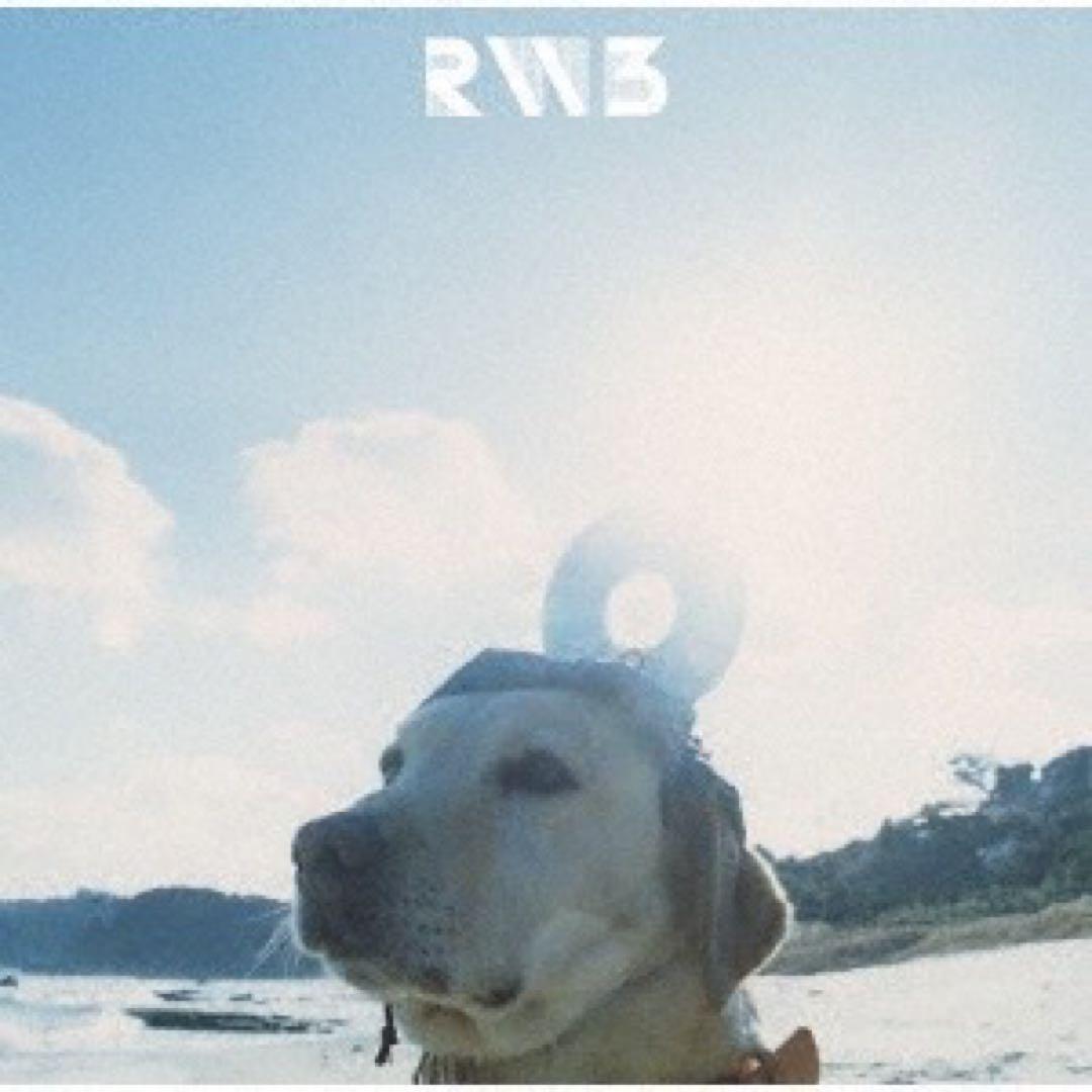RADWIMPS LP3枚セット　新品未開封