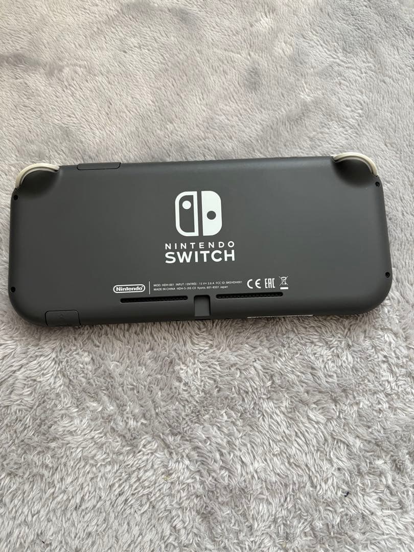 スイッチライト　グレー　SD付き