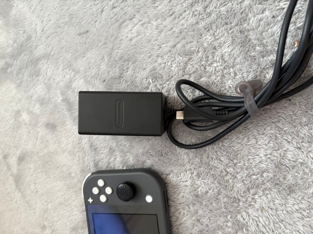 スイッチライト　グレー　SD付き