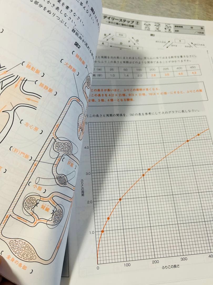 ADサピックス　貴重　暗記教材　5年　理科　重要ポイント　1年分フルセット